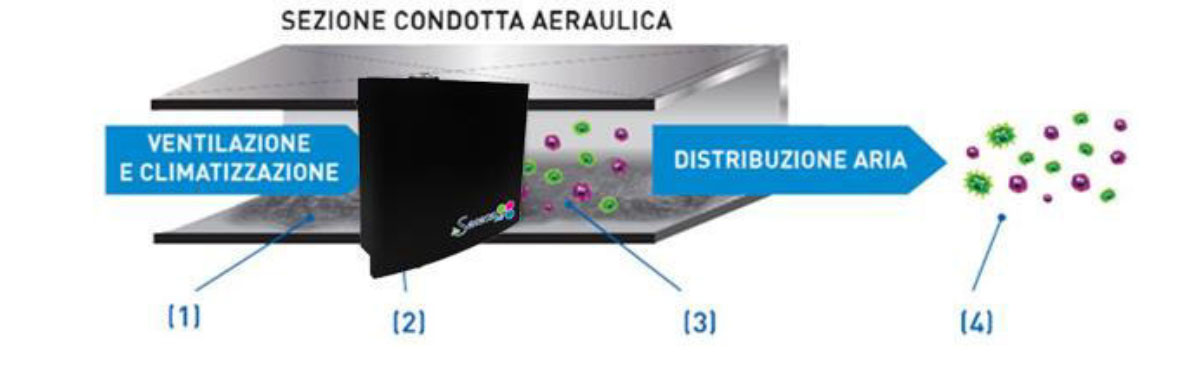 Seneca Biotech Srl 